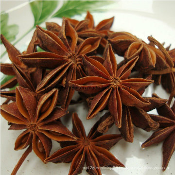 Illicium Verum, Anise Autum Crop and Spring Crop